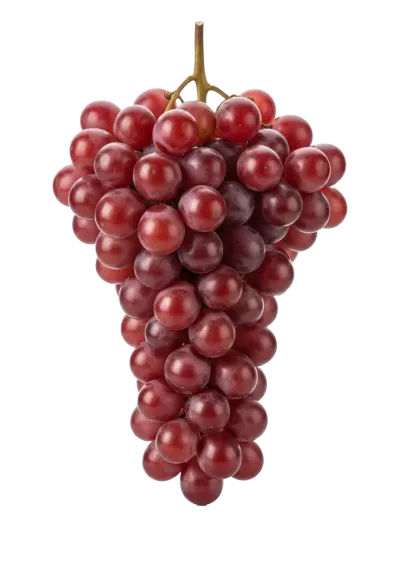 Imagen PNG para descargar